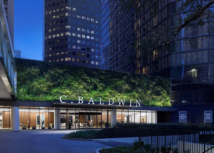 C. Baldwin, Curio Collection By Hilton